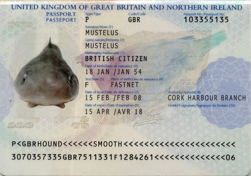 Fish Passports